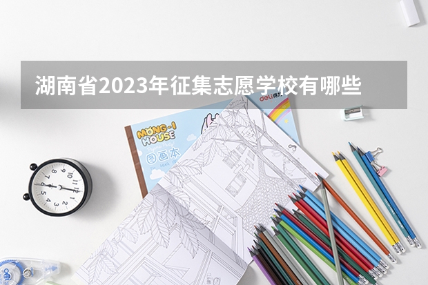 湖南省2023年征集志愿学校有哪些