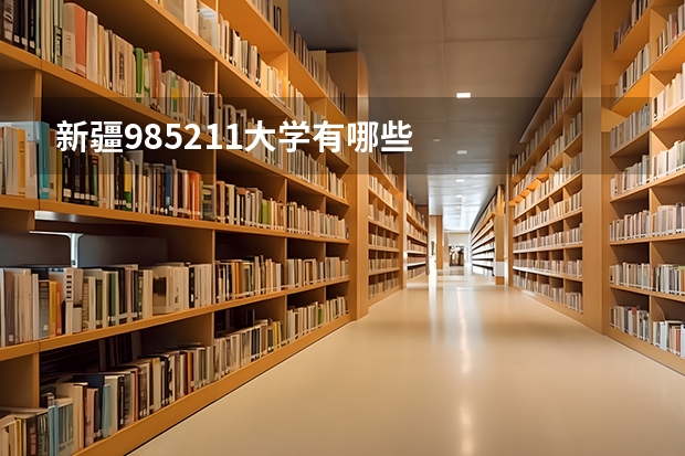 新疆985211大学有哪些