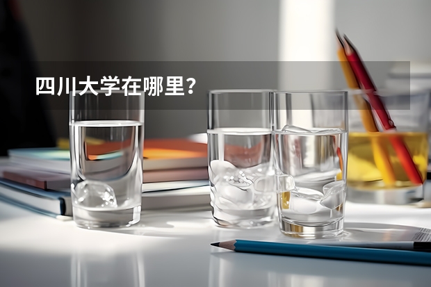 四川大学在哪里？