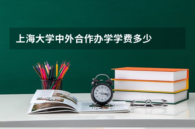 上海大学中外合作办学学费多少