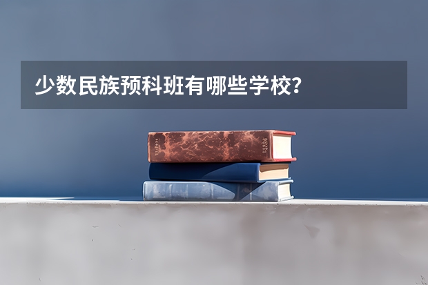 少数民族预科班有哪些学校？