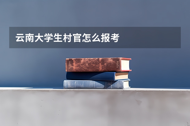 云南大学生村官怎么报考