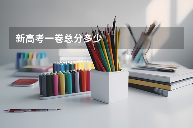 新高考一卷总分多少