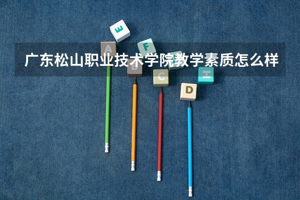 广东松山职业技术学院教学素质怎么样