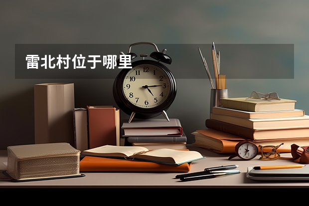 雷北村位于哪里