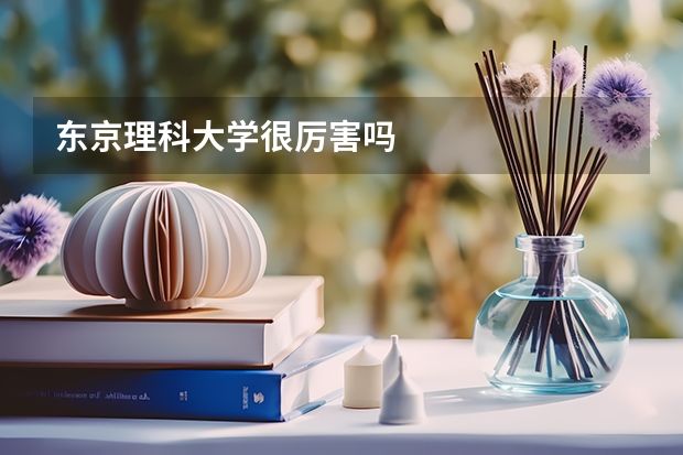 东京理科大学很厉害吗