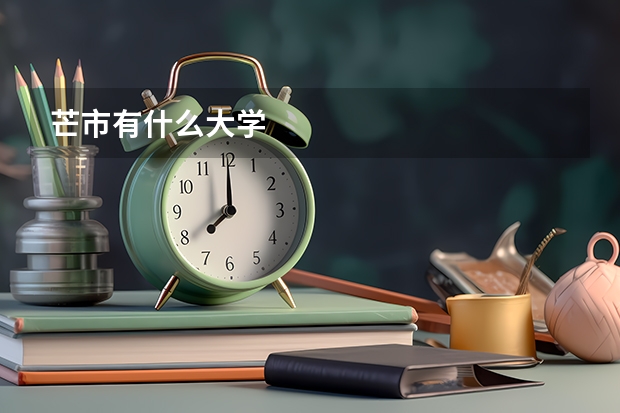 芒市有什么大学