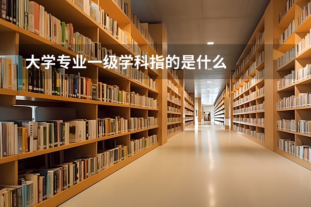 大学专业一级学科指的是什么