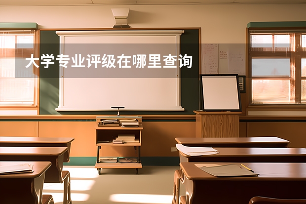 大学专业评级在哪里查询