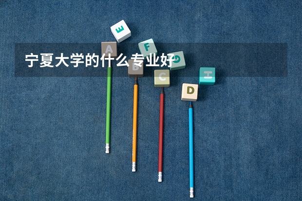 宁夏大学的什么专业好