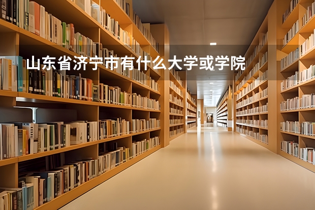 山东省济宁市有什么大学或学院