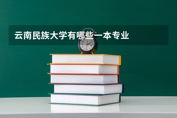 云南民族大学有哪些一本专业