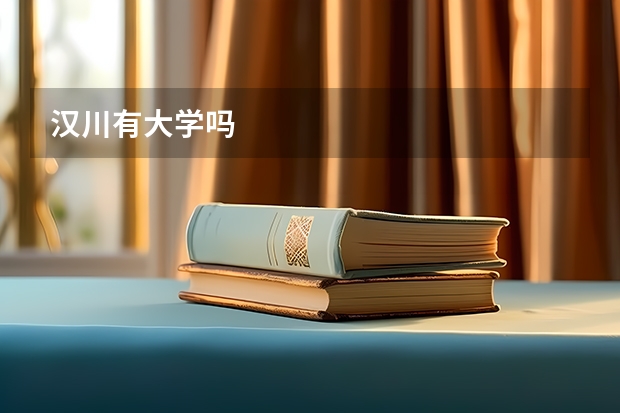 汉川有大学吗