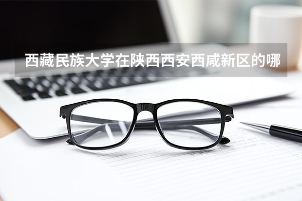 西藏民族大学在陕西西安西咸新区的哪个区
