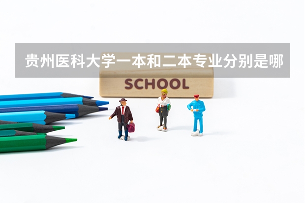贵州医科大学一本和二本专业分别是哪些？