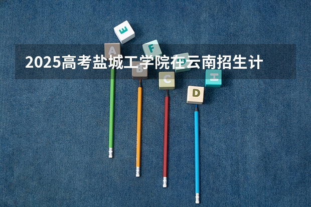 2025高考盐城工学院在云南招生计划介绍