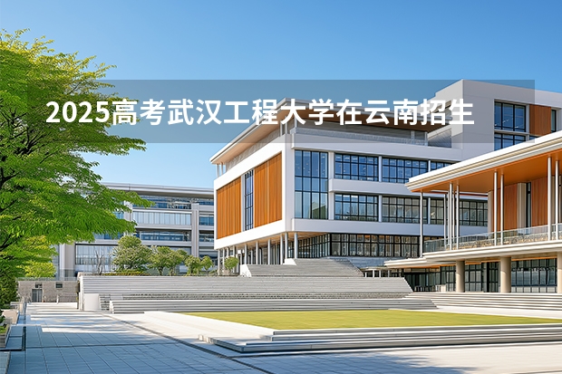 2025高考武汉工程大学在云南招生计划介绍