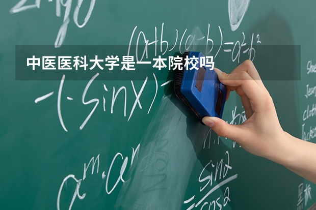 中医医科大学是一本院校吗