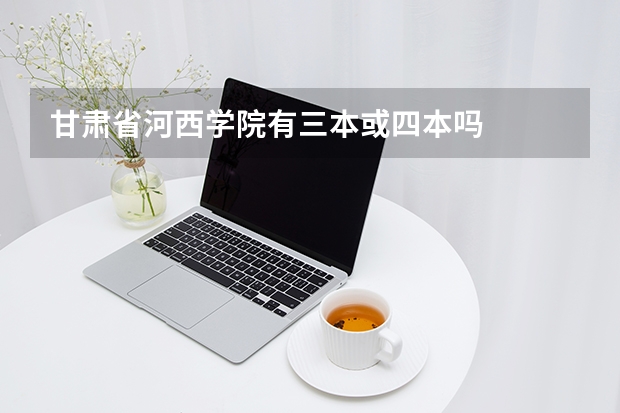 甘肃省河西学院有三本或四本吗