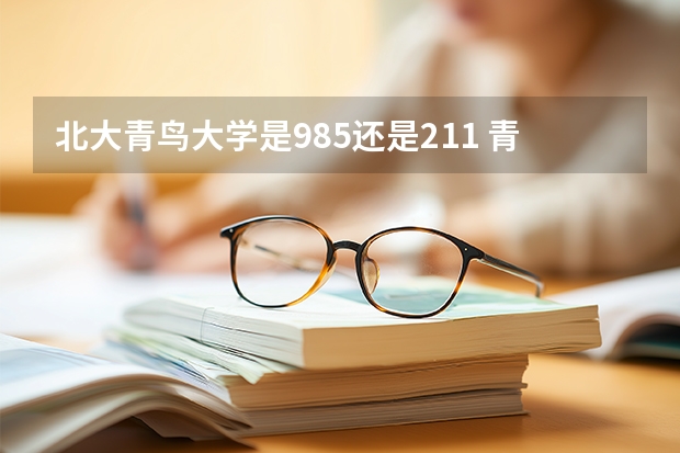 北大青鸟大学是985还是211 青鸟科技大学是几本