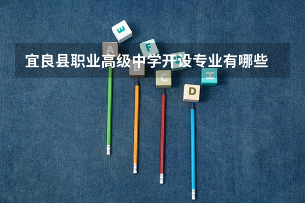 宜良县职业高级中学开设专业有哪些 宜良县职业高级中学优势专业有什么