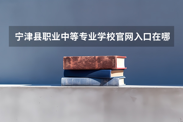 宁津县职业中等专业学校官网入口在哪