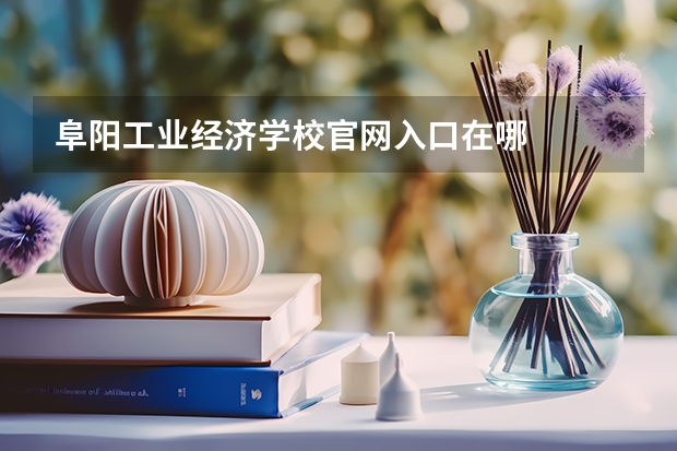 阜阳工业经济学校官网入口在哪