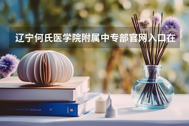 辽宁何氏医学院附属中专部官网入口在哪