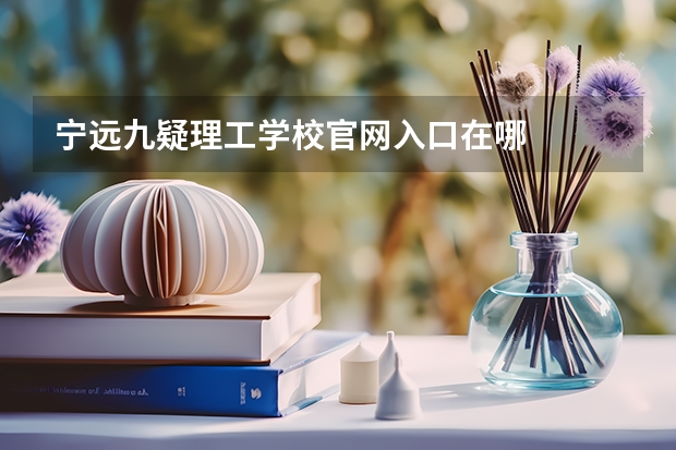 宁远九疑理工学校官网入口在哪