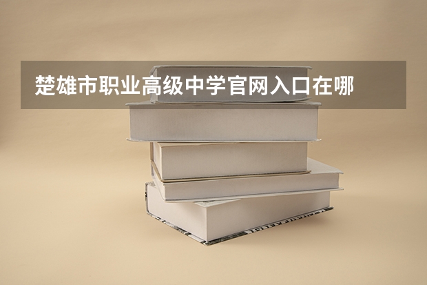 楚雄市职业高级中学官网入口在哪