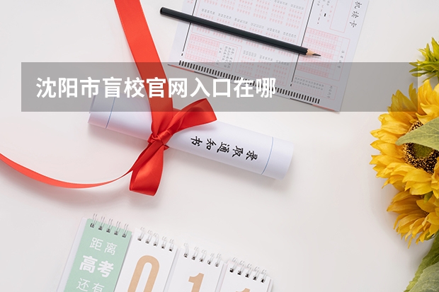 沈阳市盲校官网入口在哪