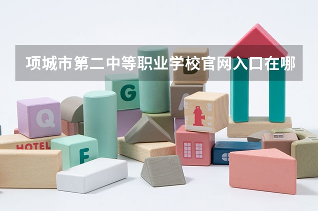 项城市第二中等职业学校官网入口在哪