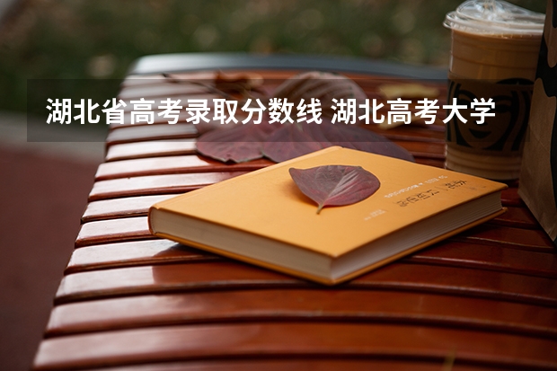 湖北省高考录取分数线 湖北高考大学录取分数线