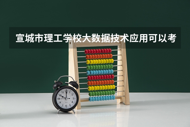 宣城市理工学校大数据技术应用可以考哪些证书