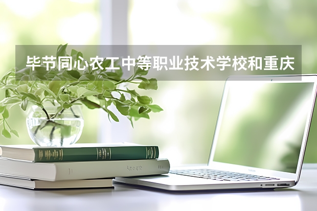 毕节同心农工中等职业技术学校和重庆市经贸中等专业学校各有什么优势