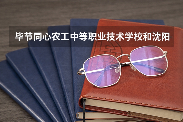 毕节同心农工中等职业技术学校和沈阳市工业技术学校各有什么优势