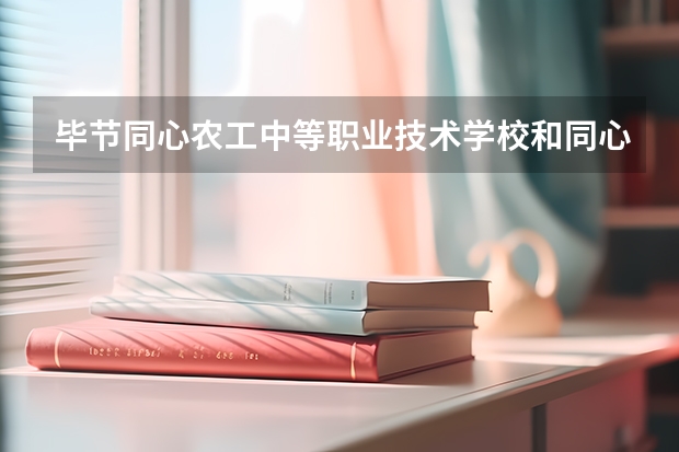 毕节同心农工中等职业技术学校和同心县职业技术学校各有什么优势