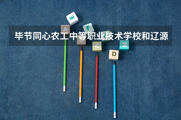 毕节同心农工中等职业技术学校和辽源市第一职业高级中学校各有什么优势