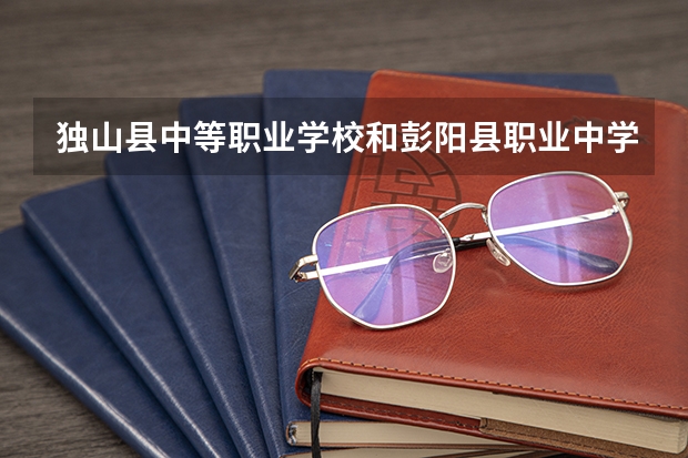 独山县中等职业学校和彭阳县职业中学各有什么优势