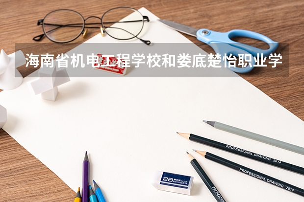 海南省机电工程学校和娄底楚怡职业学校各有什么优势