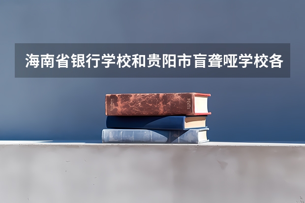 海南省银行学校和贵阳市盲聋哑学校各有什么优势
