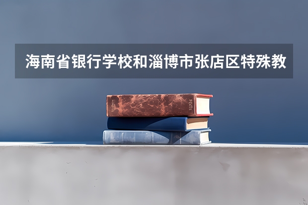 海南省银行学校和淄博市张店区特殊教育中心学校各有什么优势