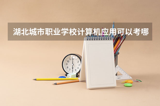 湖北城市职业学校计算机应用可以考哪些证书