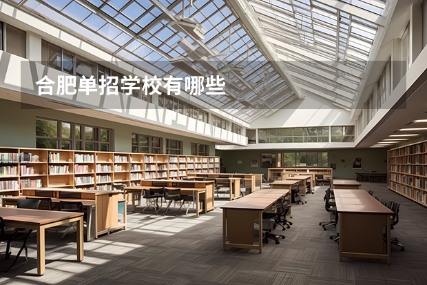 合肥单招学校有哪些