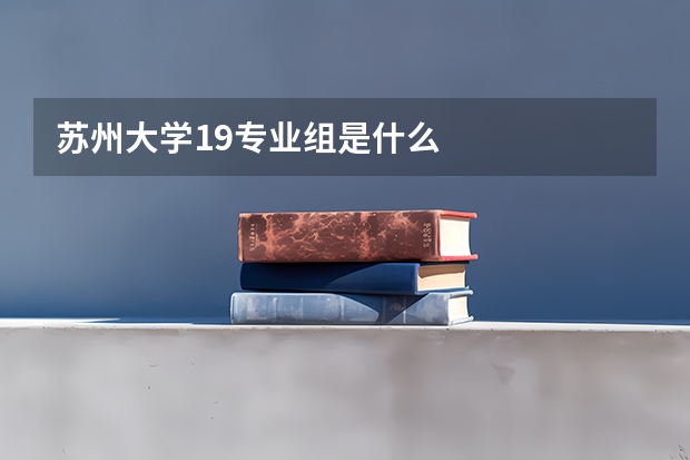 苏州大学19专业组是什么
