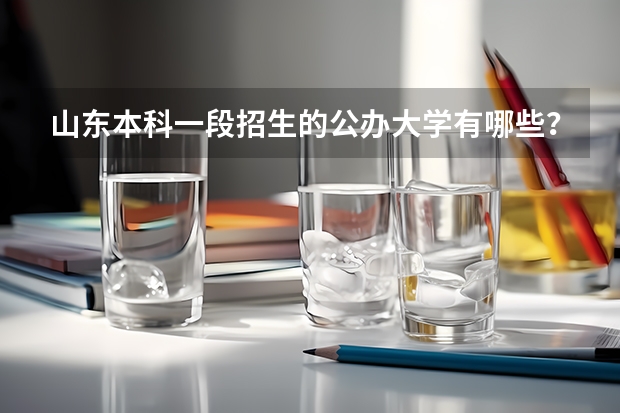 山东本科一段招生的公办大学有哪些？在鲁的投档线各是多少分？