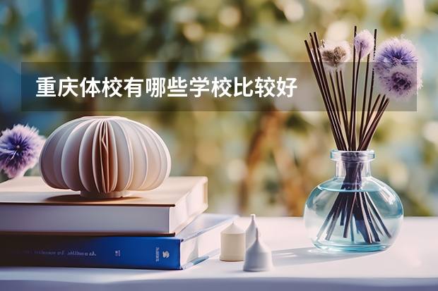 重庆体校有哪些学校比较好