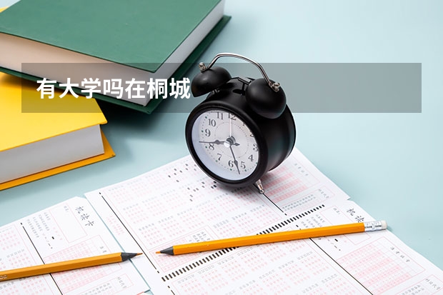 有大学吗在桐城