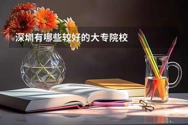 深圳有哪些较好的大专院校