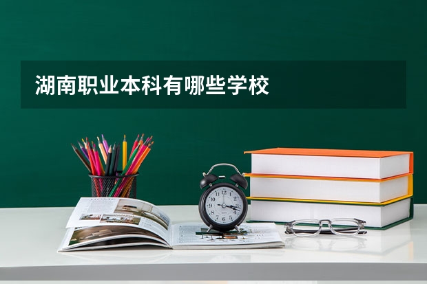 湖南职业本科有哪些学校